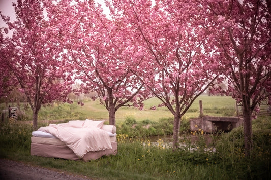 Zo verzorg je je matras, dekbed en beddengoed voor een frisse en gezonde nachtrust.