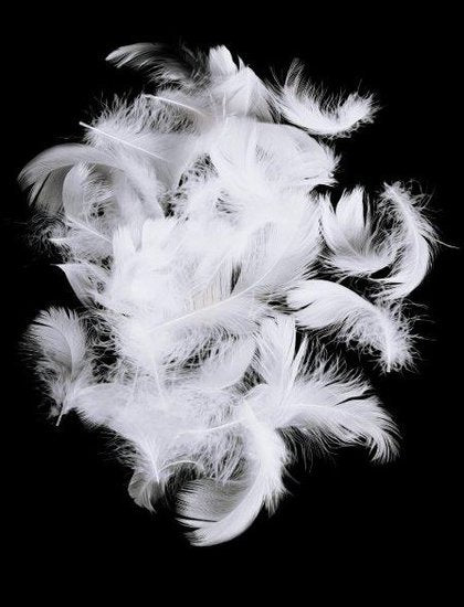 Kinderdekbed - 150 gram Dons ALKEOS 105x150 cm