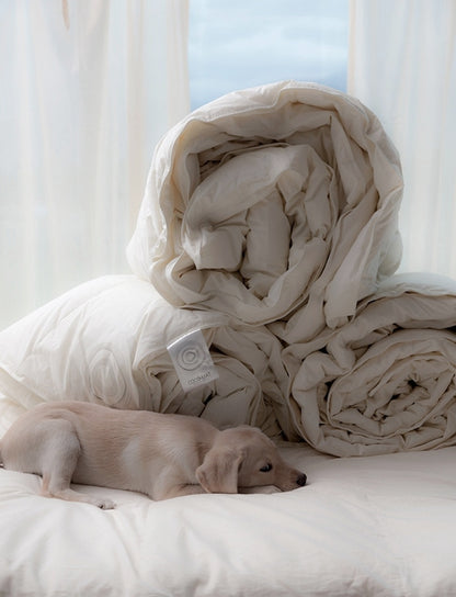 250 gram m2 eenden donzen dekbed - ALKEOS